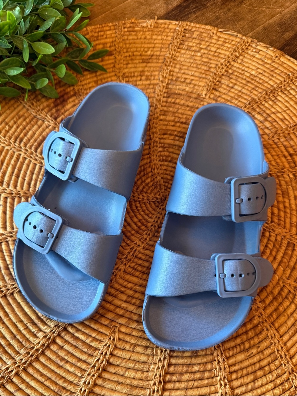 Blue Double-Buckle Slide Sandals